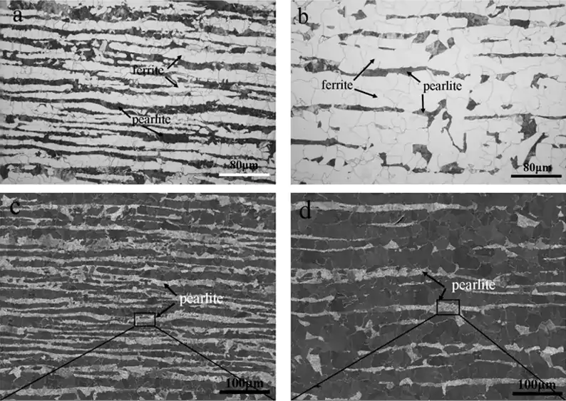 A magnified image of a complex metal microstructure, illustrating carbide segregation