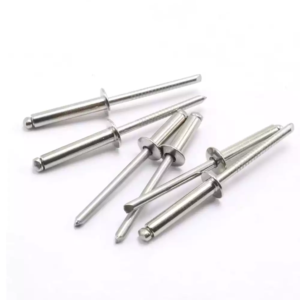 Custom 304 Stainless Steel Rivets
