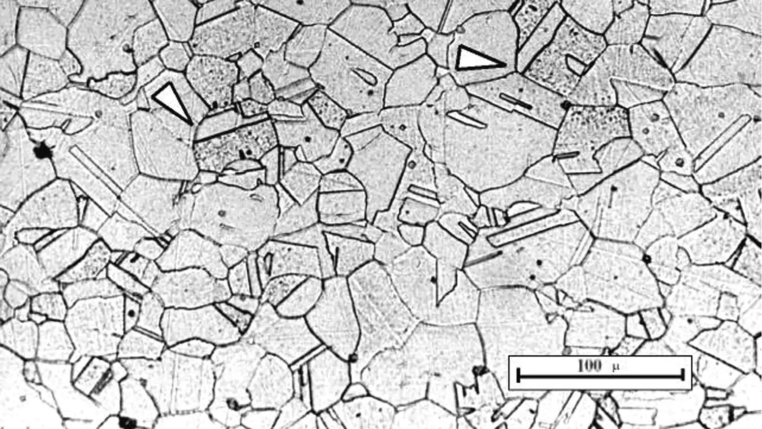 microstructure of austenitic stainless steel used in investment casting